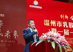 The Establishment Of Whenzhou Latex & Foam Chamber Of Commerce