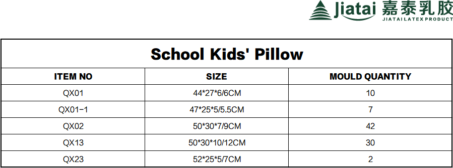 School Kids' Pillow